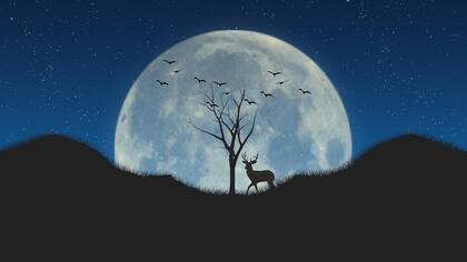 Luna de Ciervo y sus orígenes salvajes . Foto: Pixabay