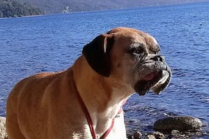 Luna, vivió con la familia Isla en Bariloche por 14 años.