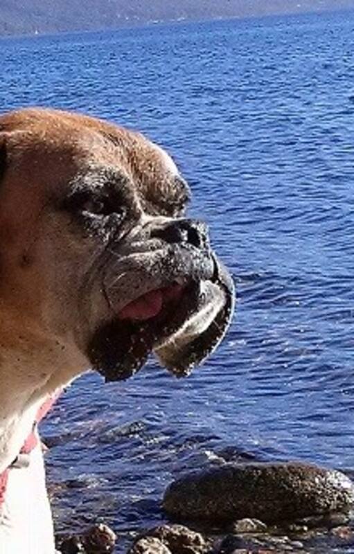 Luna, vivió con la familia Isla en Bariloche por 14 años.