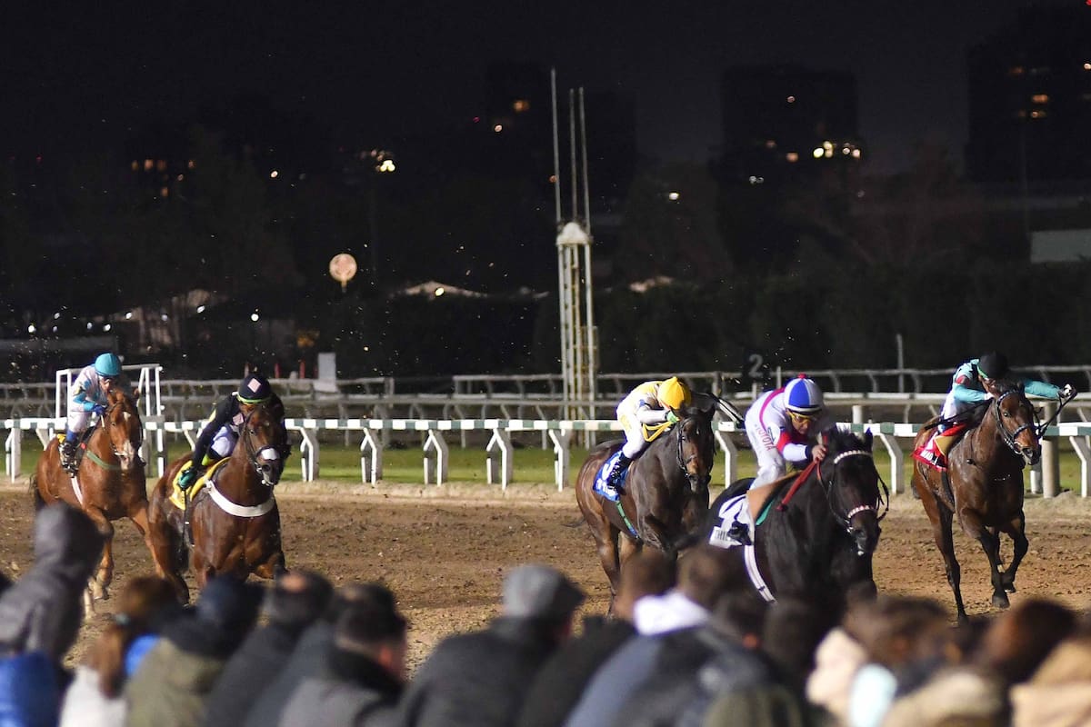 Luthier Blues, en uno de sus triunfos en Palermo, con el público junto a la pista para admirar su velocidad de cerca
