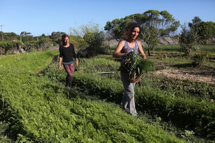 Luz Delorenzini y Soledad La Guardia en su quinta de la casa autosustentable