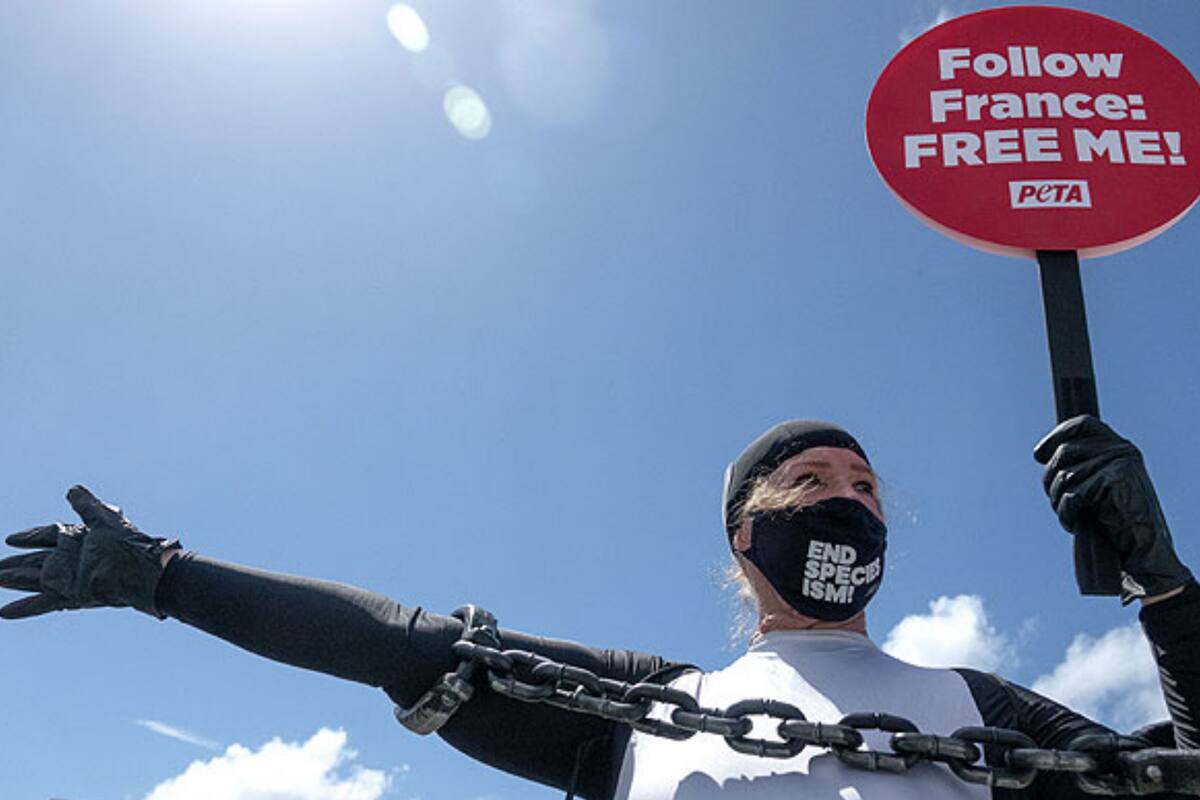 Lyn se vistió como Lolita para exigir su liberación