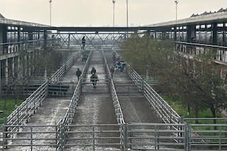 Comienzo de semana con altibajos en el Mercado Agroganadero de Cañuelas