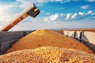 La “desaparición” de una cosecha de maíz genera un revuelo político en San Luis