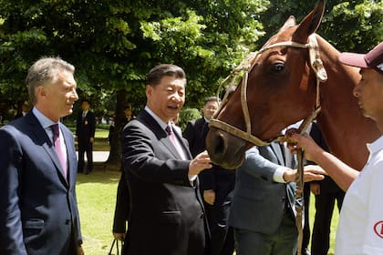 Macri, Xi y Luca Kazka, la yegua de polo que fue obsequiada al presidente chino