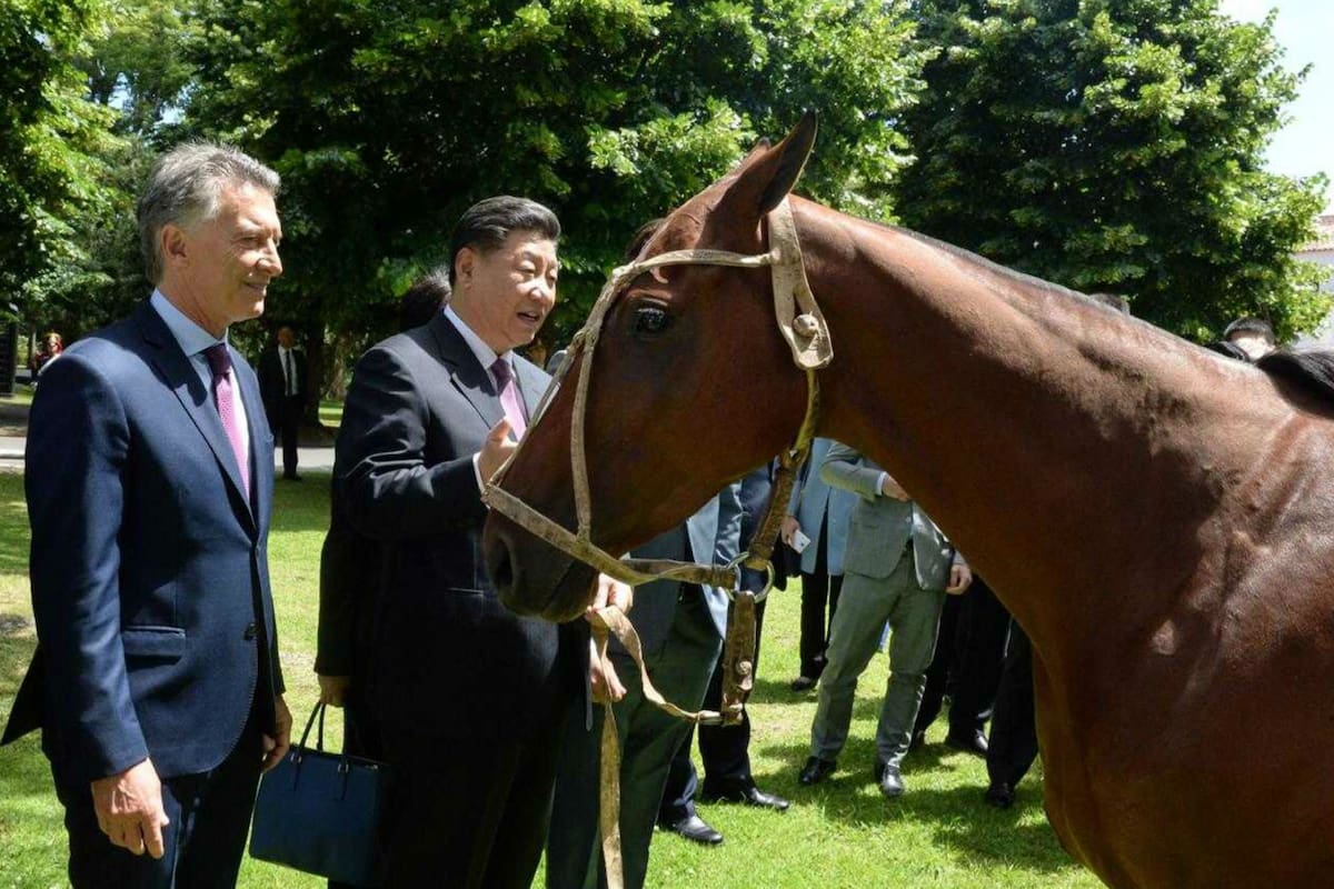 Macri y Xi Jinping con el caballo obsequiado