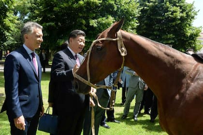 Macri y Xi Jinping con el caballo obsequiado