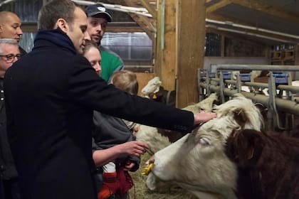 Macron le explicó a agricultores locales cuáles serán los límites que planteará su país