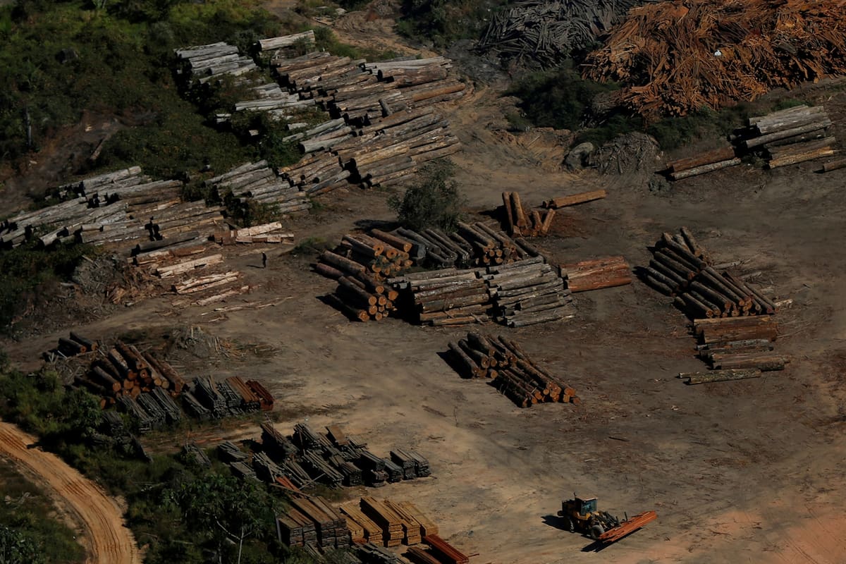 Madera confiscada producto de la tala ilegal