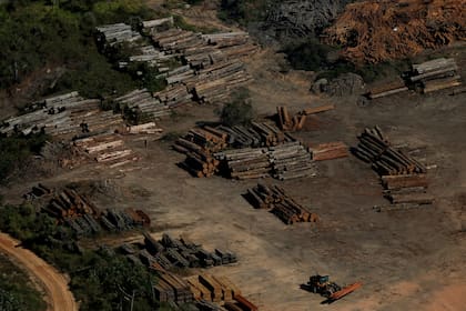 Madera confiscada producto de la tala ilegal