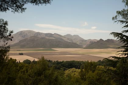 Mahuida Co