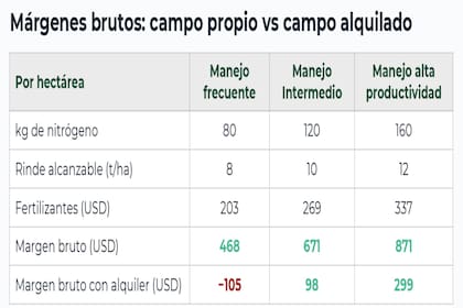 Maíz: impacto de la fertilización en los márgenes