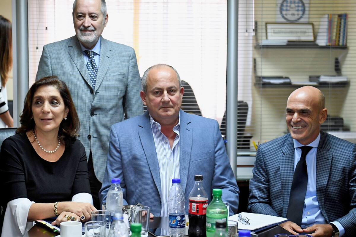 Majdalani y Arribas, de la AFI, junto a Marino en el Senado