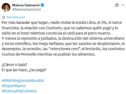 Malena Galmarini cuestionó el acto del Presidente (Fuente: @MalenaGalmarini)