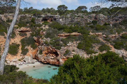 Mallorca es una isla salvaje y plena en patrimonio cultural.