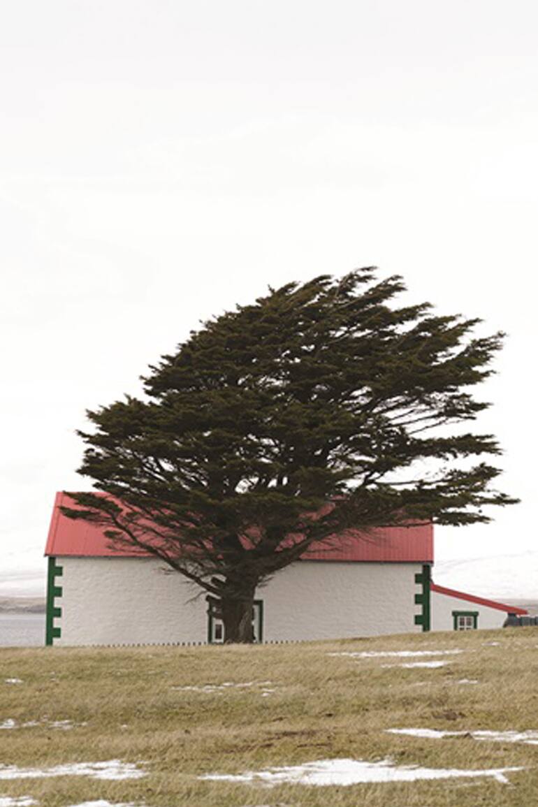 Malvinas, según Gonzalo Lauda