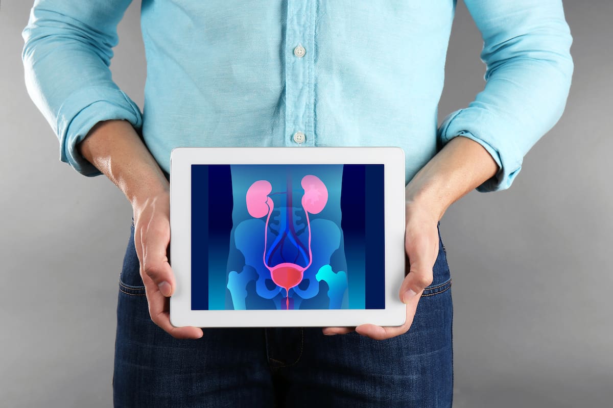Man with tablet in hands. Urinary system on screen. Urology concept.