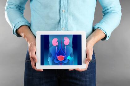 Man with tablet in hands. Urinary system on screen. Urology concept.