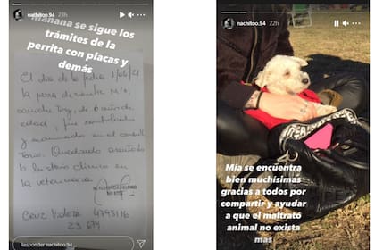 "Mañana (por hoy) se sigue con los trámites de la perrita, con placas y demás", dijo uno de los hermanos de la dueña de Mía