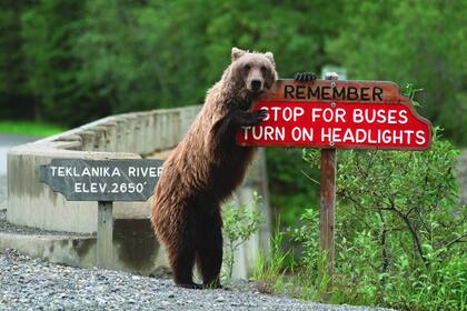 “Maneje con cuidado”, de Jonathan Irish