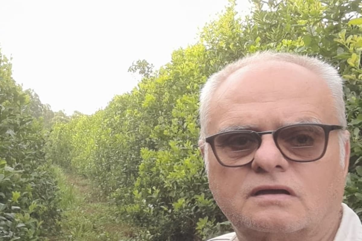 Manfredo Seifert, en un yerbal de la zona del Alto Paraná