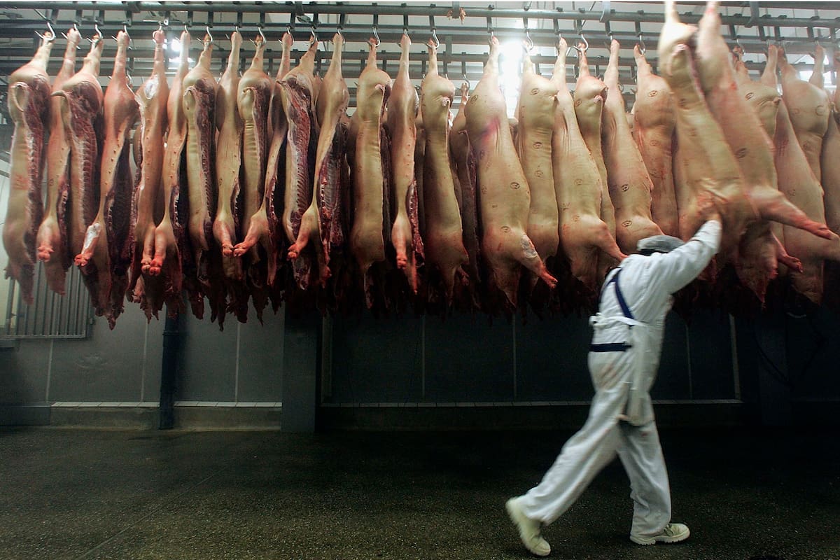 MANNHEIM, GERMANY - DECEMBER 15: A butcher handles slaughtered pigs at a state of the art slaughterhouse on December 15, 2005 in Mannheim, Germany. Despite the high standards of meat processing a few packagers have been accused of selling tons of expired meat repackaged. (Photo by Ralph Orlowski/Getty Images)