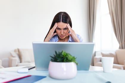 Mantener una alimentación saludable, variada y completa, es la clave para estar con energía y realizar con éxito las tareas diarias