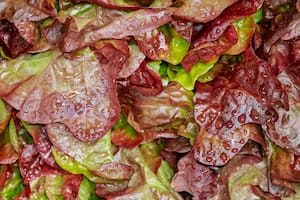 Mantener verduras frescas en un reto al que muchos se enfrentan día a día