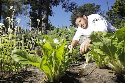 Manuel Grinberg, chef de La Vieja Hostería, en su huerta en Pinamar