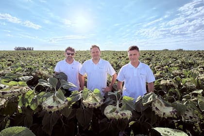 Manuel Pelayo, gerente comercial; Lucas Minetti, responsable del área de sustentabilidad y Agustín Balduzzi, responsable de campo