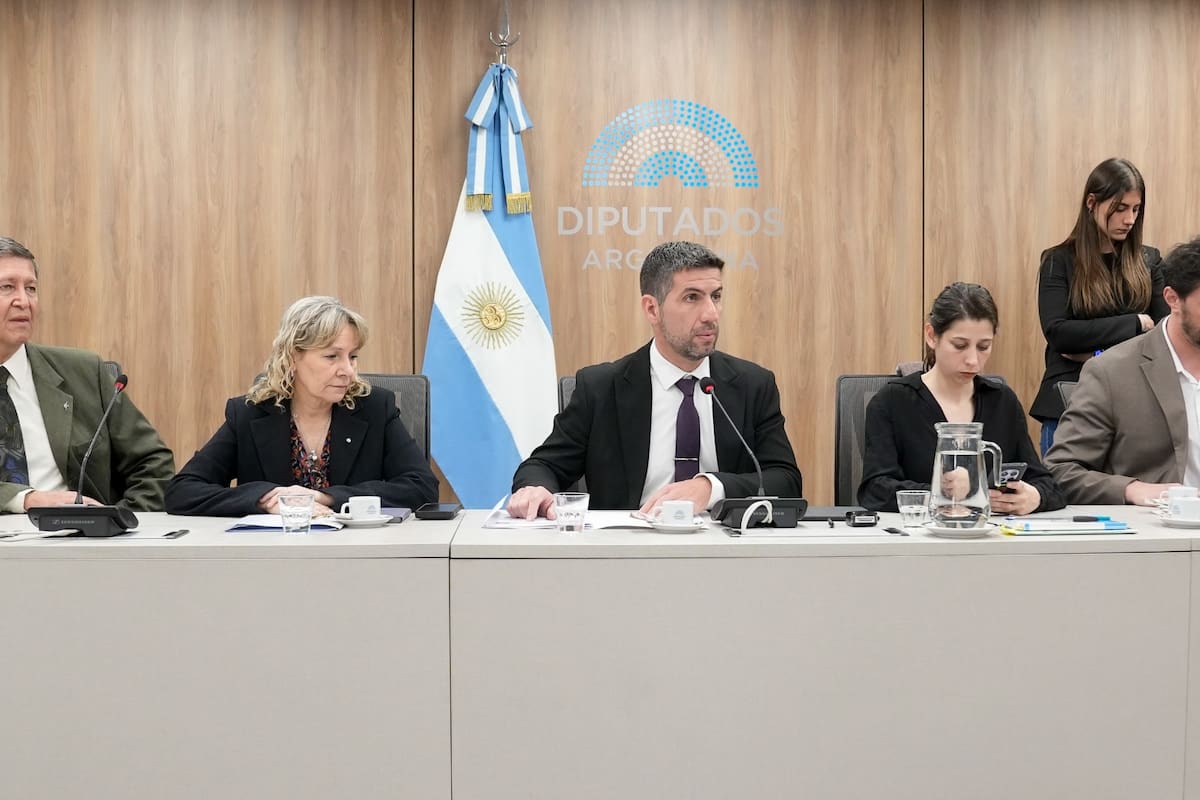 Manuel Quintar, presidente de la Comisión de Salud de Diputados