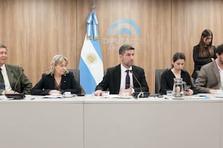Tras la tragedia del fentanilo, Diputados avanza con una ley para rastrear los medicamentos de alto riesgo