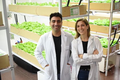 Manuel Sobrino y Guadalupe Murga crearon la firma tucumana Sylvarum, que combina hidroponia con estimulación eléctrica para acelerar el crecimiento de los cultivos