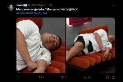 Manzana suele ser uno de los jugadores que toma siestas en diversas partes de la casa (Captura X)