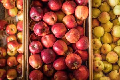 Manzanas: el aliado natural