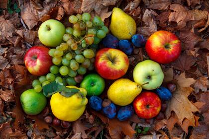 Manzanas, peras y ciruelas son las protagonistas de la temporada de otoño (Foto Canva)
