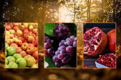 Manzanas, uvas y granadas son las aliadas indispensables para cuidar la salud en el otoño boreal. Canva