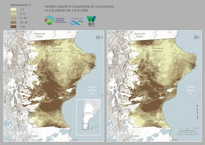 Mapa de la variación espacial en la abundancia del guanaco. Izquierda: estación fría. Derecha: estación cálida. Estudio realizado por el Consejo Agrario Provincial de Santa Cruz y la organización de conservación de la naturaleza WCS Argentina