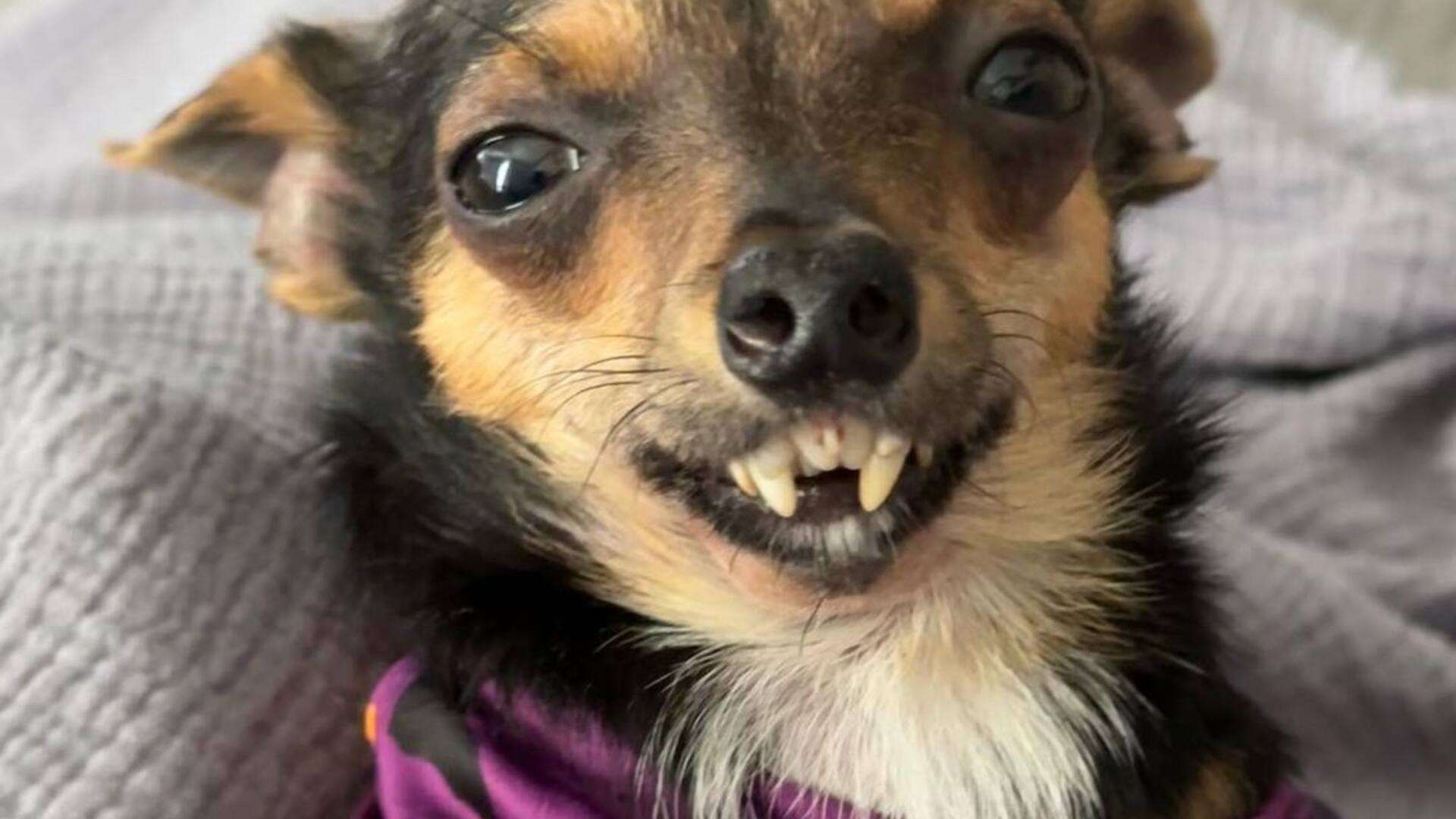 Marv
