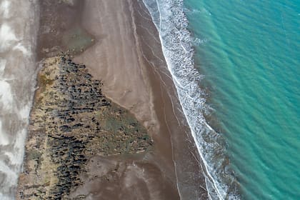 Mar de Historias es una campaña que busca concientizar sobre el patrimonio cultural de las costas argentinas.
