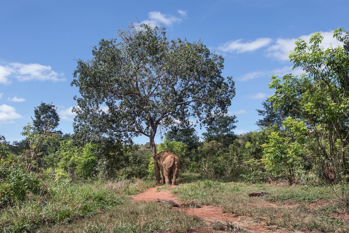 Mara en su nuevo hogar.
