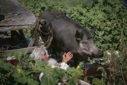 Mara pesa cerca de 200 kilos y juega con él mientras come manzanas de su mano