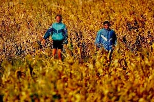 Maradona con su preparador personal, Fernando Signorini, en un campo en La Pampa en 1994
