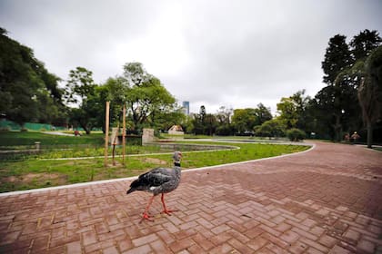 Maras, patos, aves y otras especies autóctonas estarán libres por todo el nuevo espacio, abierto de jueves a domingo, de 10 a 17, con entrada libre y gratuita