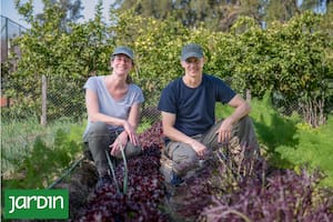 Marcela Harris y Christian Krizaj están al frente de la huerta que provee al grupo Mezcla