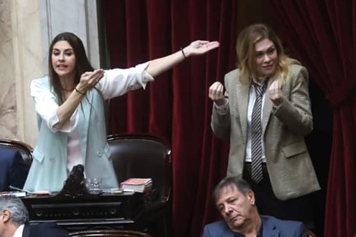 Marcela Pagano y Lilia Lemoine, en uno de sus enfrentamientos de la Cámara de Diputados