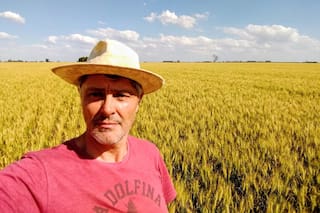 Un productor abrió una batalla judicial porque Milei no eliminó las retenciones y llevó su reclamo hasta la Corte