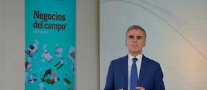 Las cinco reformas que necesita la Argentina para aumentar sus exportaciones agroindustriales