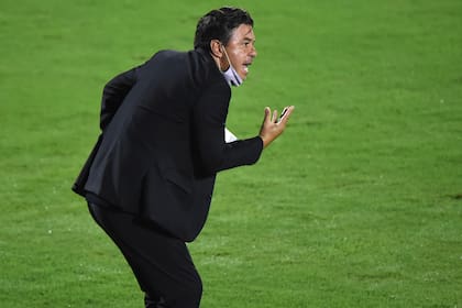 Marcelo Gallardo buscará otro título, con un River renovado