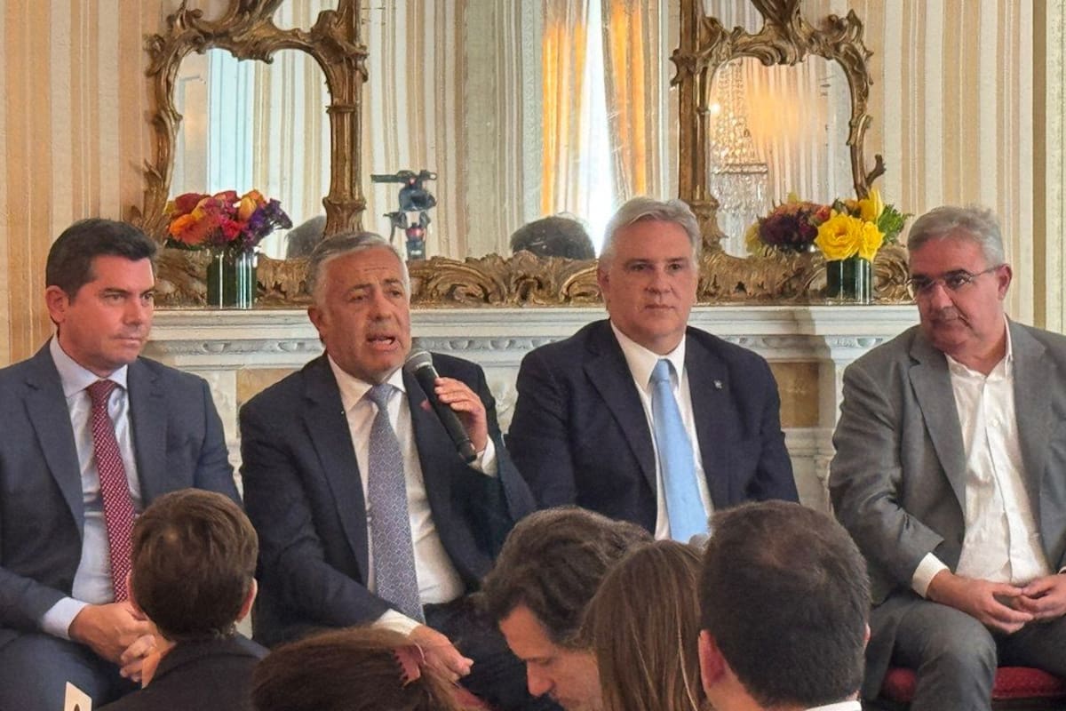 Marcelo Orrego, Alfredo Cornejo, Martín Llaryora y Raúl jalil, algunos de los gobernadores a los que se le recortará el subsidio al gas